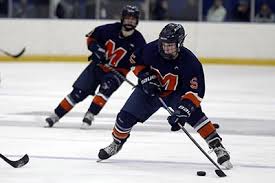 Image result for New Milton Hockey Club