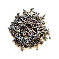 Attēlu rezultāti vaicājumam “Lavandula angustifolia bud”