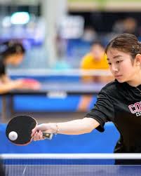 Image result for Fellows Cranleigh Table Tennis Club