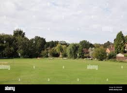 Image result for Abinger Sports Club