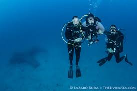 Image result for Breakwater Divers