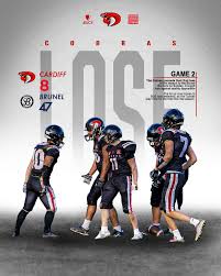 Image result for Cardiff Cobras