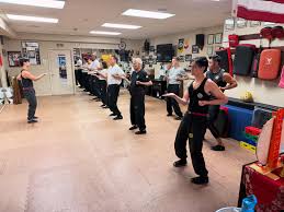 Image result for Farnham Kung Fu Club