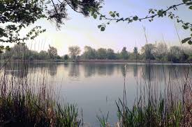 Image result for Cotswold Bsac