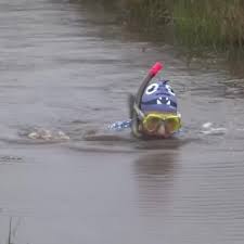 Image result for Bog Snorkelling Championships