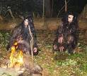 Cryptomundo » Is It Real? Russian Bigfoot