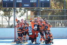 Image result for Walsall Roller Hockey Club