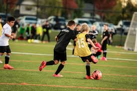 Image result for Surrey Sports Development Unit