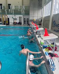 Image result for York University Pool Club