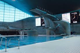 Image result for Dive Solutions, London