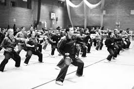 Image result for Shaolin Nam Pai Chuan Kung Fu - Manchester Martial Arts Centre