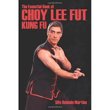 Image result for Tao So Choy Kung Fu Club, Hull
