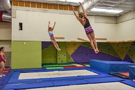 Image result for Dynamo Trampoline Academy