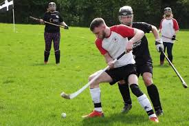 Image result for Cornwall Shinty Club
