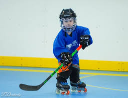 Image result for Vipers Roller Hockey Team