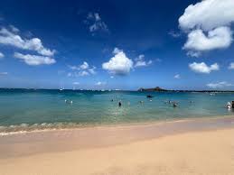 Image result for Harbour Lights Snorkelling Club (HLSC)