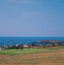 Image result for Cardigan Golf Club