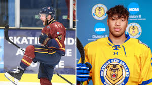 Image result for Swindon Panthers