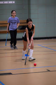 Image result for Indoor Hockey (Casual Use)