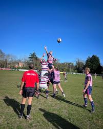Image result for Cobham Rugby Club