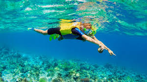 Image result for Ruislip Snorkelling Club