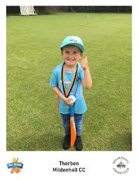 Image result for Mildenhall Cricket Club