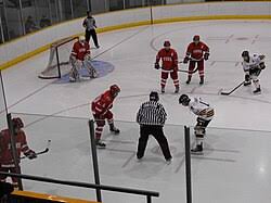 Image result for York University Street Hockey Club