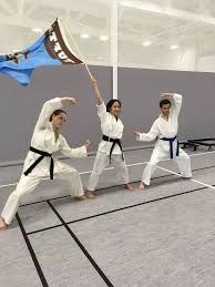 Image result for Shitokai Karate Club