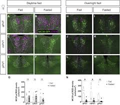 Image result for  f g   C g  p  