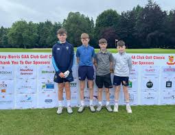 Image result for Moycarkey-Borris Gaa Club