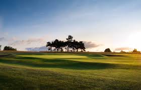 Image result for Stinchcombe Hill Golf Club