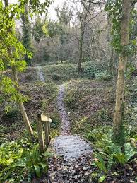 Image result for Dinas Powys Cricket Club