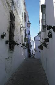 Videos Césped Artificial Arcos de la Frontera, Cádiz por El Jardinero SL