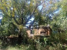 Kuvahaun tulos haulle tepoztla