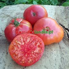 Afbeeldingsresultaat voor caspian pink tomato