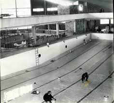 Image result for Wrexham Swimming Club