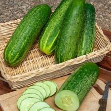 Image result for Gurke