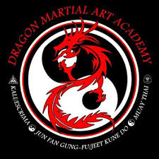 Image result for Dragon Martial Arts Association