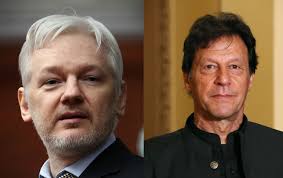 Image result for julian assange