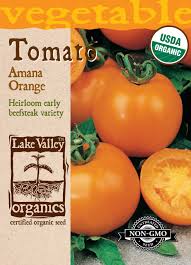 Afbeeldingsresultaat voor amana orange beefsteak tomato