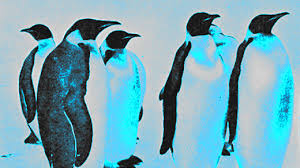 Image result for linux art