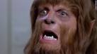 The Throwback: Did 'Teen Wolf'