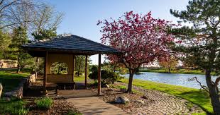 Image result for japanese gardens...