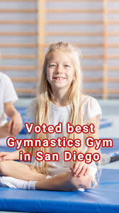 Image result for Tessaro Gymnastics Club
