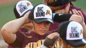 Image result for World Groundball Association