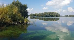 Image result for DRAYTON ANGLING CLUB