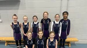 Image result for Foxes Netball Club