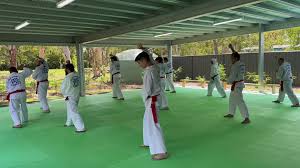 Image result for Silat Pd (Perisai Diri) UK