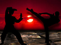 Image result for Get Into Martial Arts