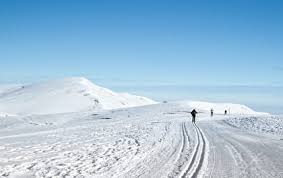 Image result for Scandinavian slope and cross country skiing